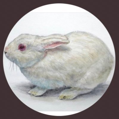 sht_bcm's profile picture. 