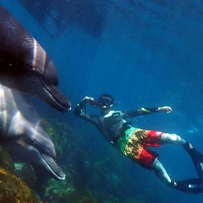 w7kktXr0aKhFPid's profile picture. 