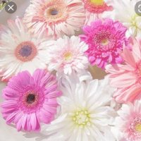 pure_white321 (@purewhite321) 's Twitter Profile Photo pure_white321 (@purewhite321) 's Twitter Profile Photo