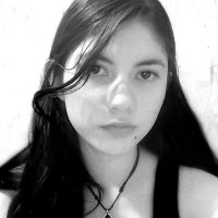 Sea & Sun (@rmsol) 's Twitter Profile