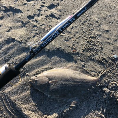 q_u6d's profile picture. 