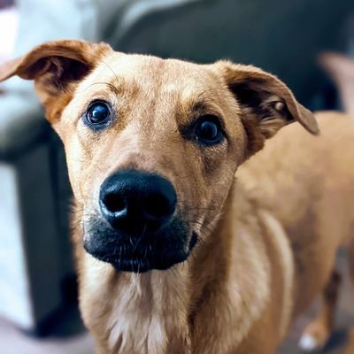 Japare88's profile picture. 