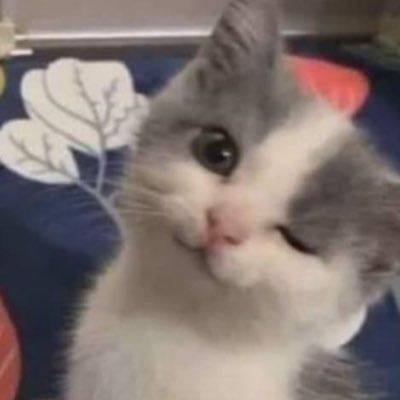 juliaherlinda's profile picture. 