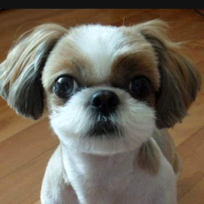 jeemuryong's profile picture. INTJ, 사진, MBTI FormK, 집단상담, 호흡, 명상