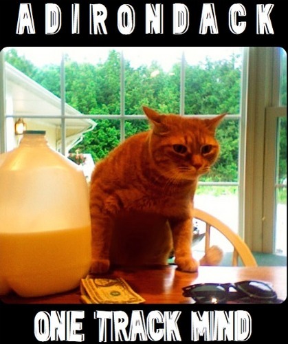 AdirondackBAND's profile picture. We're one of them rock bands, Jethro.