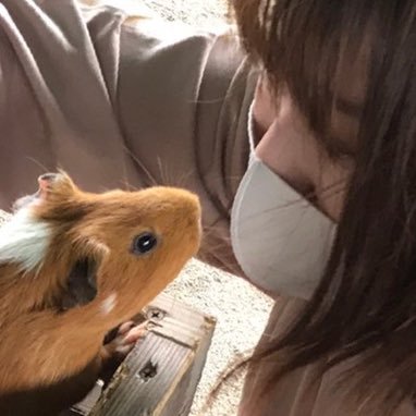 きさがなのプロフィール写真