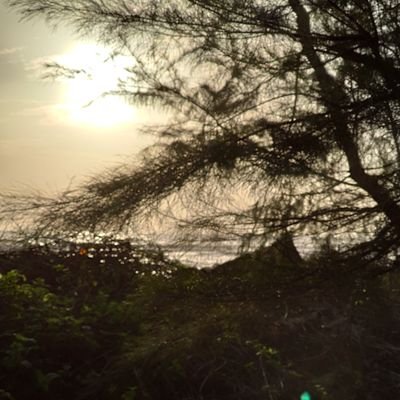 Saurav03406923's profile picture. GG 🌝