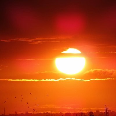 rajrudhvi's profile picture. 𝗟𝗲𝗮𝗿𝗻 * 𝗨𝗻𝗹𝗲𝗮𝗿𝗻 * 𝗥𝗲𝗹𝗲𝗮𝗿𝗻 * 𝗘𝗮𝗿𝗻 !!!
15+ 𝓨𝓻𝓼 𝓟𝓻𝓸𝓰𝓻𝓪𝓶𝓶𝓮𝓻