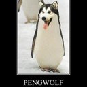 Mike Prentice - @MikePrentice6 - Twitter