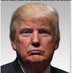 LockTrumpUpNOW👊 (@blessedbytheb17) Twitter profile photo LockTrumpUpNOW👊 (@blessedbytheb17) Twitter profile photo