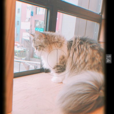 js891s's profile picture. ダーツとループとカメラの人