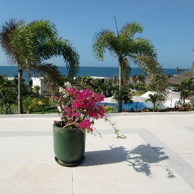 SoPhatSoSo's profile picture. 