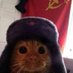 Thes (@testein2) Twitter profile photo Thes (@testein2) Twitter profile photo