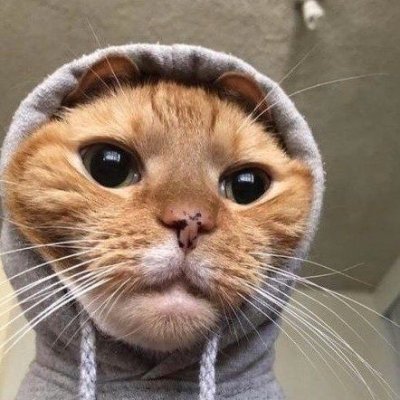 Content creator📸Tik Tok-Zoahna| Twitch-Zoahna🥷🏼