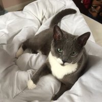 Oscar is Home (@gethuffkins) Twitter profile photo