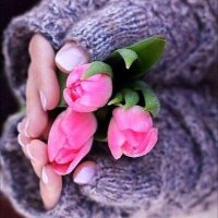 سماح الحسني (@samah_hasani) Twitter profile photo