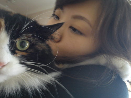 BonBonCandy's profile picture. 