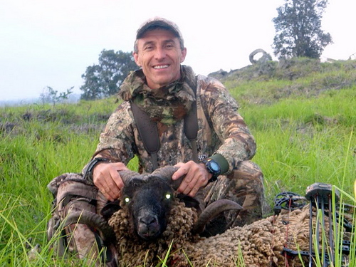 Guided bowhunting on the Big Island of Hawaii. Wild (feral) ram hunting adventures on the slopes of Mauna Loa. Call Chris at (808) 895-7998 to book a hunt.