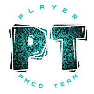 Pmcoteam