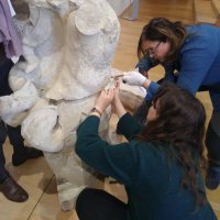 Marie-Claire Savin (@mcsavin) 's Twitter Profile