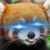 𝓣𝓪𝓼𝓼𝓭𝓪𝓻 (@tassdarr) Twitter profile photo 𝓣𝓪𝓼𝓼𝓭𝓪𝓻 (@tassdarr) Twitter profile photo