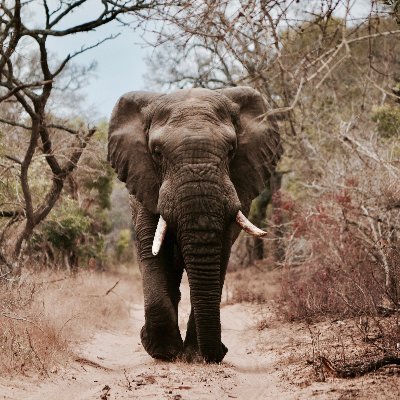 JVyasila's profile picture. 