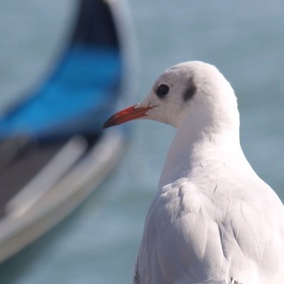Interested in various photographic styles, seeking that elusive shot.