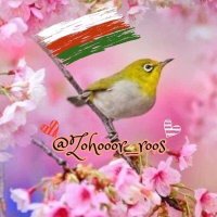 Zohoor.rooz (@zohoorroos) 's Twitter Profile