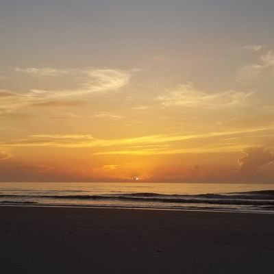 TalithaJJ's profile picture. 