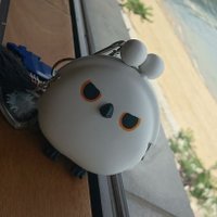 はすます@初回ﾘﾄﾘﾝ必読 (@hasunotorihiki) Twitter profile photo