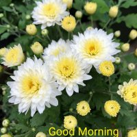 Spaçéx ❤️ 🧡 Ordzaar (@amit19405111) 's Twitter Profile Photo Spaçéx ❤️ 🧡 Ordzaar (@amit19405111) 's Twitter Profile Photo