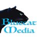 Bluecat (@scifiscreen) Twitter profile photo Bluecat (@scifiscreen) Twitter profile photo