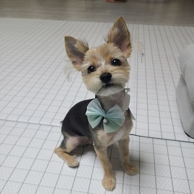 c20c43702e5a4ee's profile picture. 