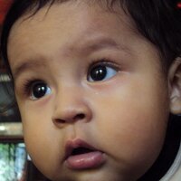 percy wilmer h p (@lobogriz07) 's Twitter Profile