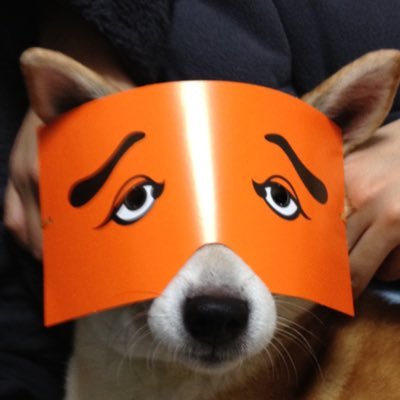と も み 🖖さんのプロフィール画像