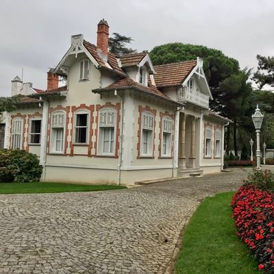 urunhasanuguz's profile picture. Her beğenim ve Retweet tastiklediğim anlamı taşımaz. Vatan için olanlar hariç.