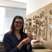 Fiona Holloran (@fionaholloran) 's Twitter Profile Photo