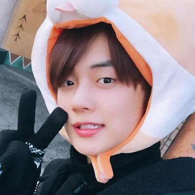 hsvoyez's profile picture. ⠀ ⠀⠀⠀⠀⠀ ⠀⠀爱 ۰ 𝖼𝗁𝗈𝗂 𝗒𝖾𝗈𝗇𝗃𝗎𝗇 ٫ 𝟬𝟬’ 安宁 🦊.