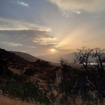 luloes19671's profile picture. 