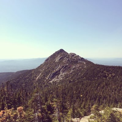 craiglevine413's profile picture. 