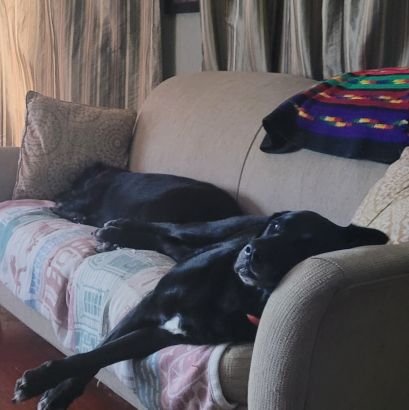 Sons87jo's profile picture. Father of 3, nightly gamer, Husband to Chelsea, amateur woodworker.
just making it work with the cards I'm dealt.