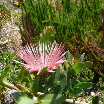 Edward_Musgrave's profile picture. Husband, Dad, Artist, ICT Geek, the usual stuff