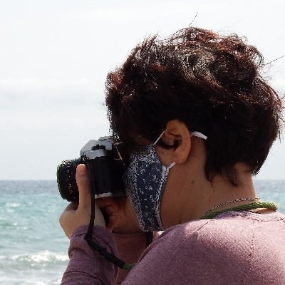 Plants, ink, watercolour, photos, wood, birds, sea and cookies. Instagram: @farnesiana_acacia