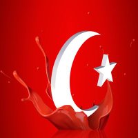 Serhat KÖKSAL GAZİ (@srcuzman35) 's Twitter Profile