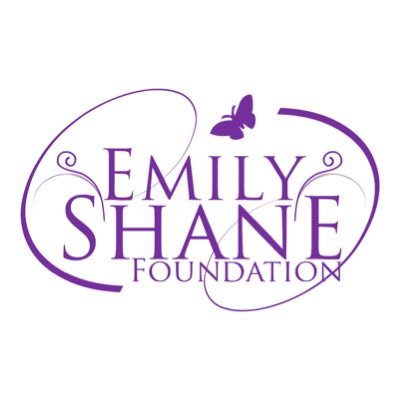 Non-profit organization • Est. 2010 in honor of Emily Shane • Malibu & greater Los Angeles • Be A Mentor & Pass it Forward •