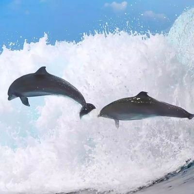 Jo_N_Ke's profile picture. Integrity is built by the temptation 2be dishonest;humility grows when we refuse 2 be prideful and endurance develops every time u refute the temptation 2giv up