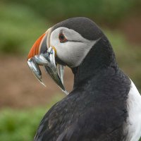 Tim Salkeld (@salkeldtim) 's Twitter Profile Photo Tim Salkeld (@salkeldtim) 's Twitter Profile Photo