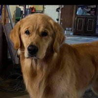 Steve Heinecke (@steveheinecke77) 's Twitter Profile