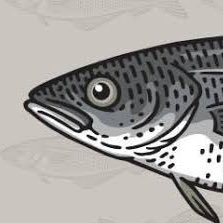 Carlos85105929's profile picture. pondría algo pero no tengo nada...