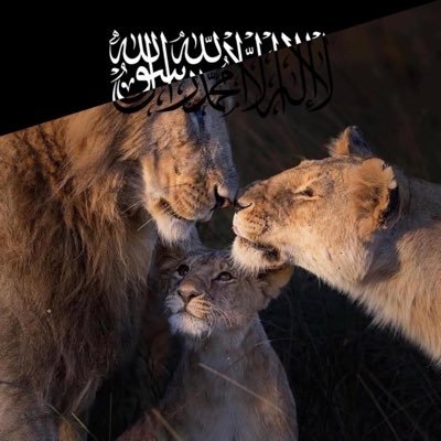 EGARruoyNIeid's profile picture. لآ اِلَهَ اِلّا اللّهُ مُحَمَّدٌ رَسُوُل اللّهِ